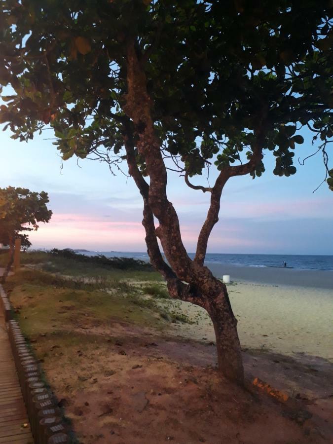 Apto De Praia Fiji 1108 Piçarras Eksteriør bilde